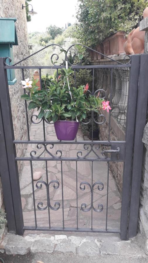 "La Casa Di Maria Luce" Con Terrazza Panoramica Apartman Gaiole in Chianti Kültér fotó