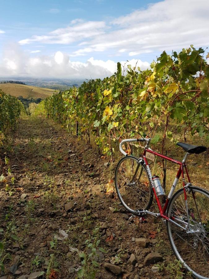 "La Casa Di Maria Luce" Con Terrazza Panoramica Apartman Gaiole in Chianti Kültér fotó